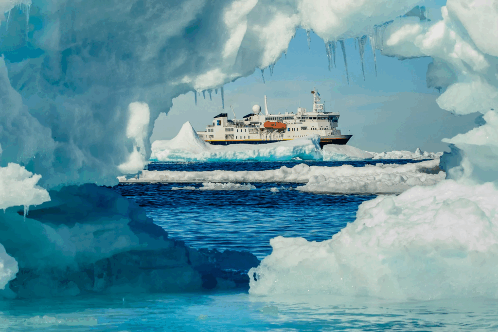 Arctic Expeditions