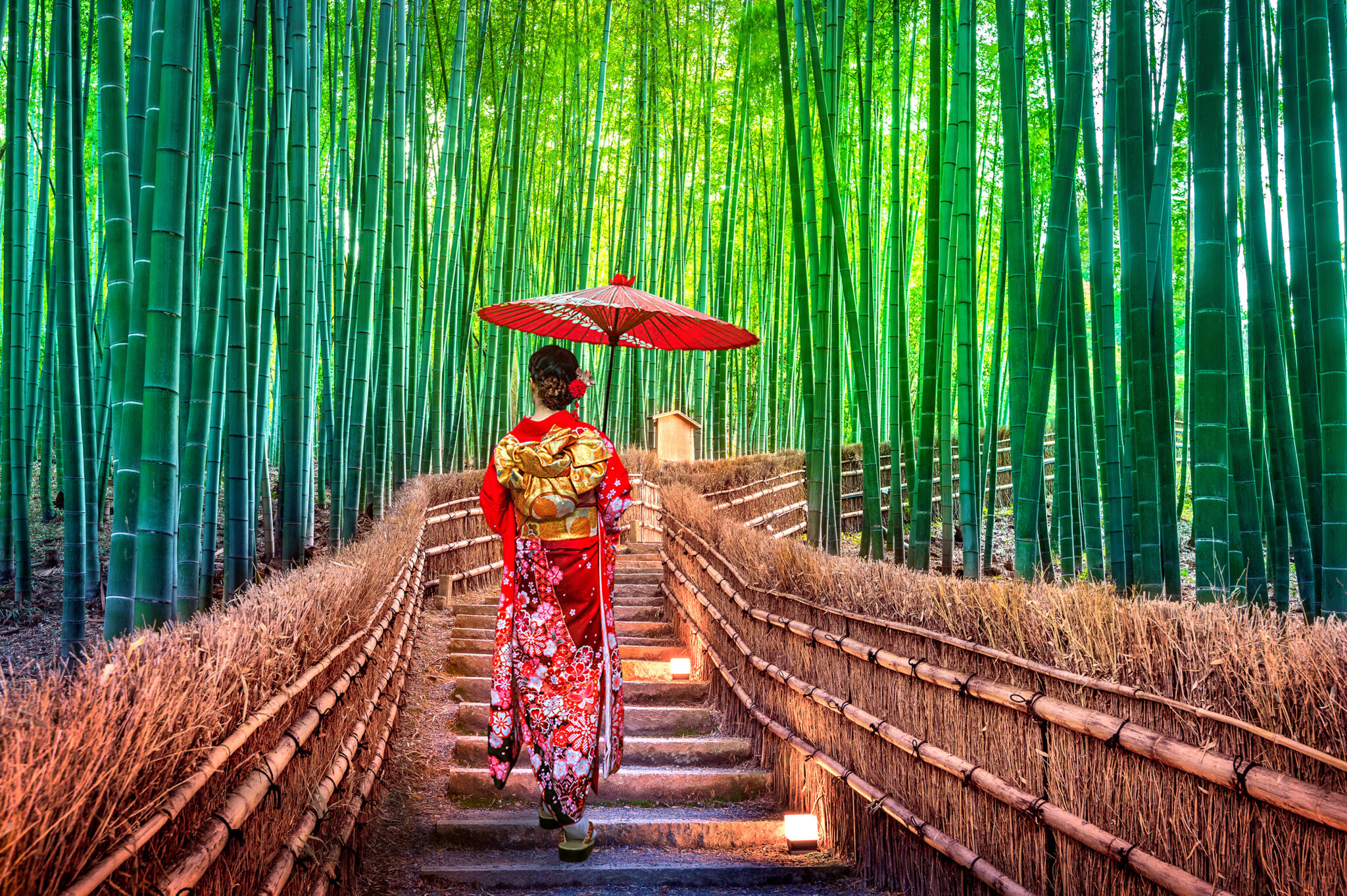Bamboo Forest Asian Woman Wearing Japanese