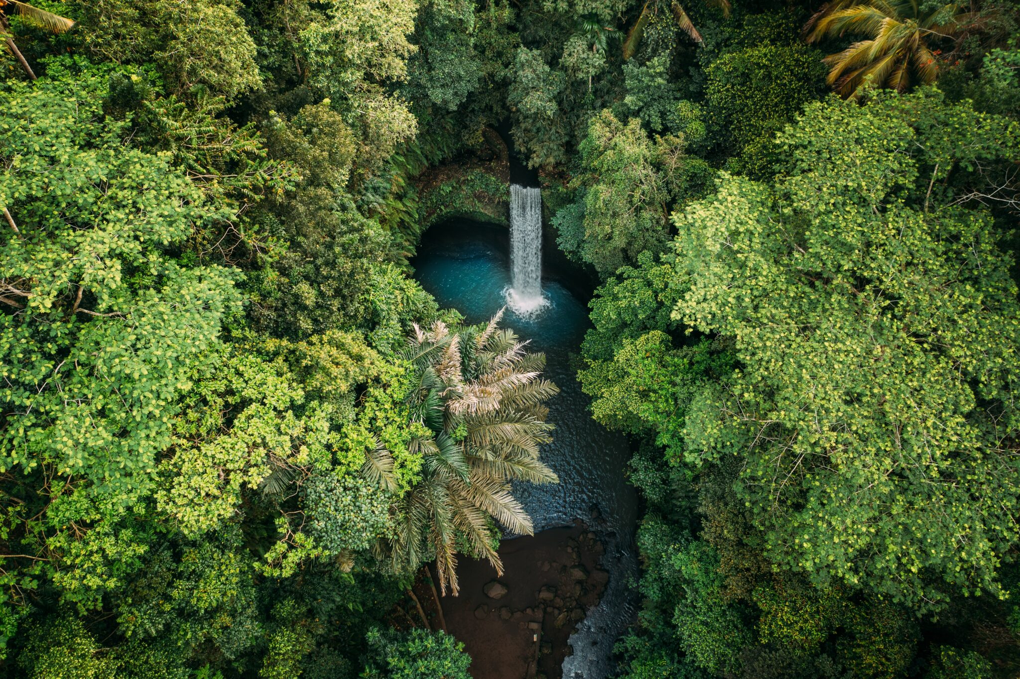 Tibumana,Waterfall,Bali,In,Tropical,Rainforest,Jungle,Ubud,,Bali,,Indonesia