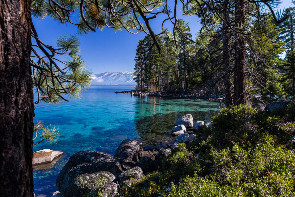 Clear Turquoise Waters Lake Tahoe Shoreline