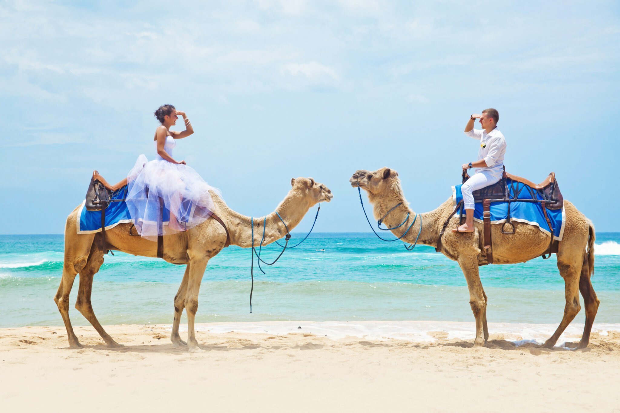 Camel,Ride,On,Wedding,Day