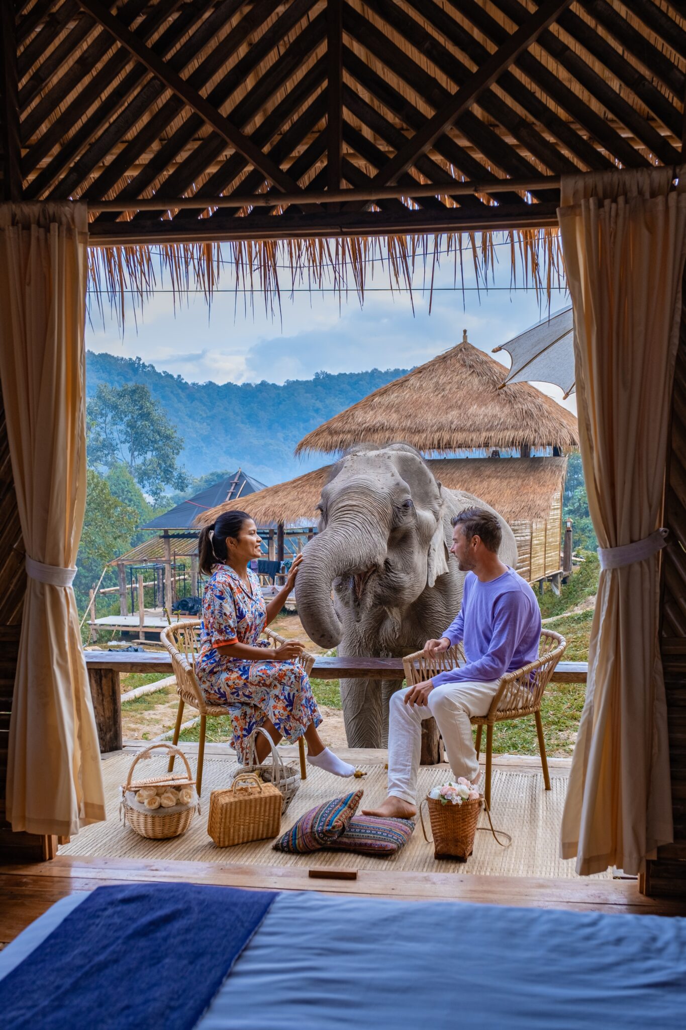 Elephant,In,The,Jungle,Sanctuary,In,Chiang,Mai,Thailand,,Elephant