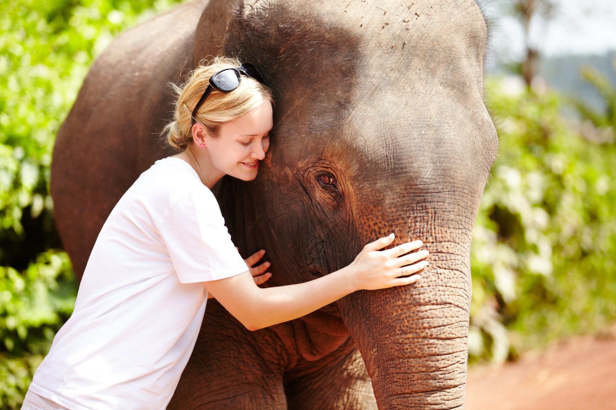 woman hug elephant in a jungle for adventure,