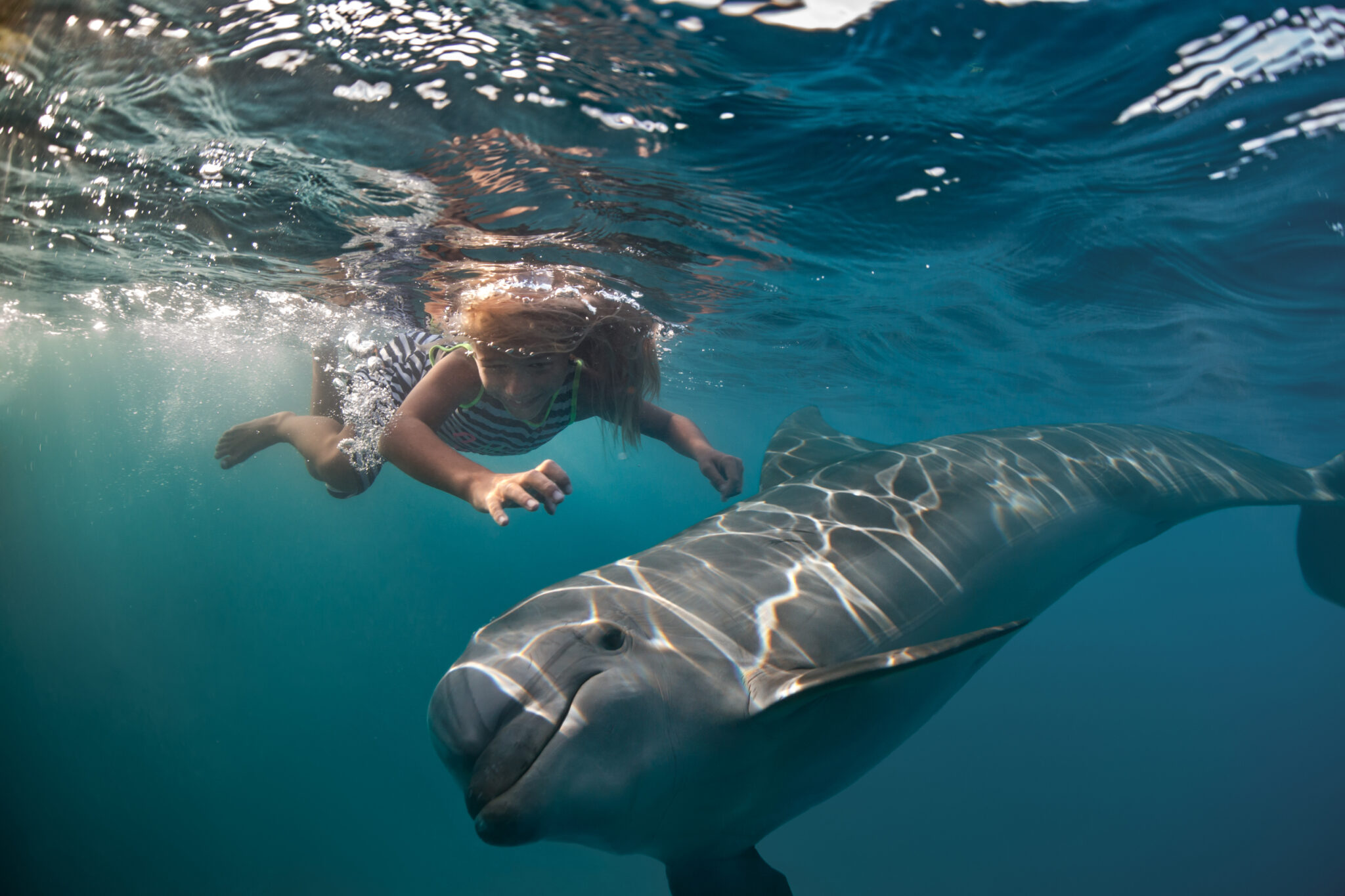 A little girl diving with dolphin underwater in deep blue sea