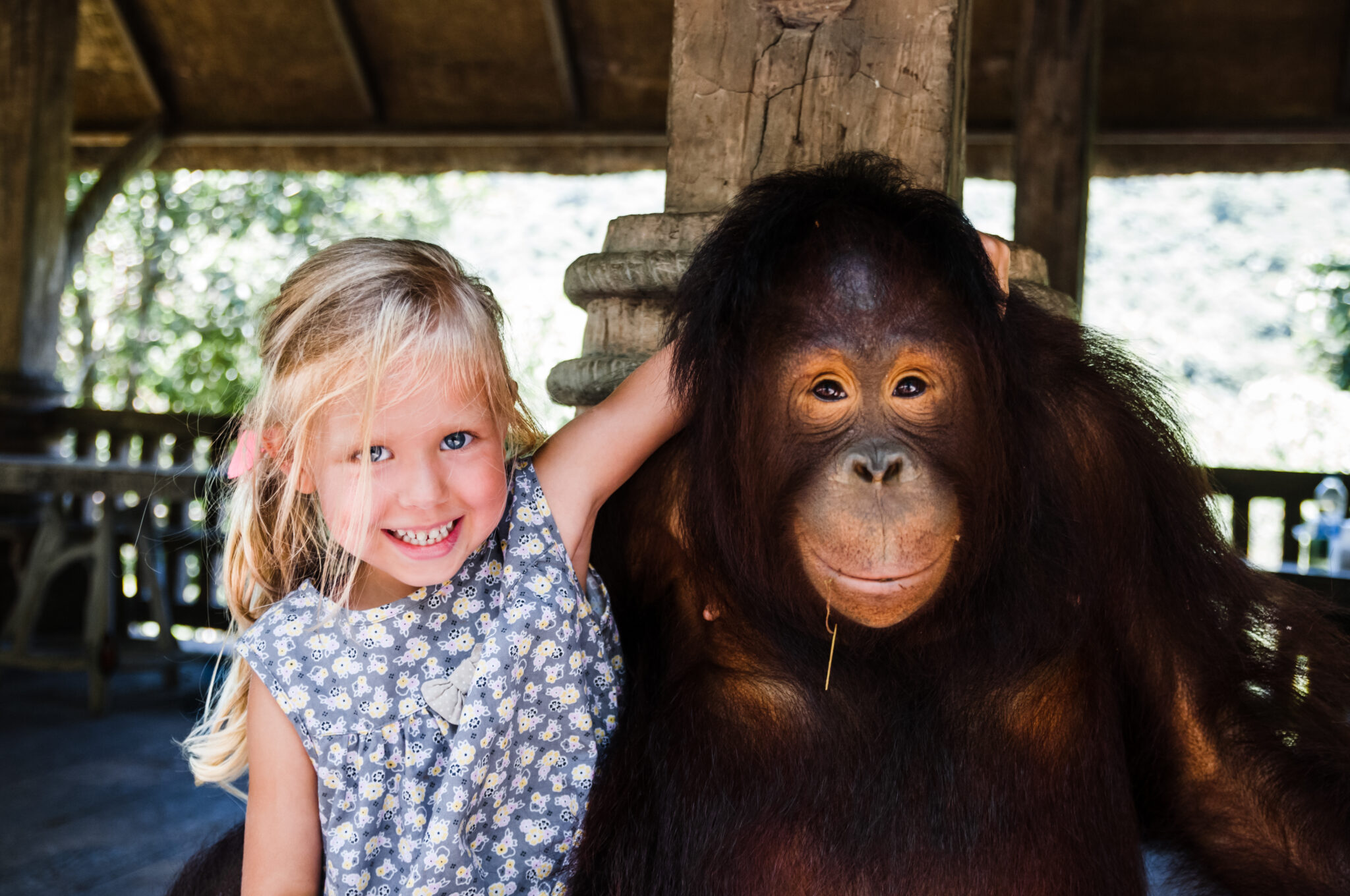 Little,Girl,Is,Photographed,With,A,Big,Monkey