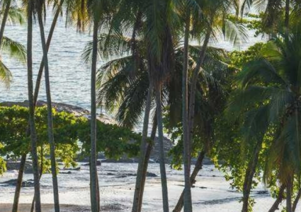 Bodhi Tree Yoga Resort